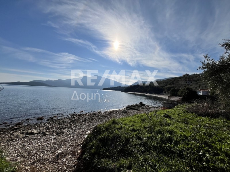 Οικόπεδο 590 τ.μ. πρός πώληση, Μαγνησία, Σούρπη
