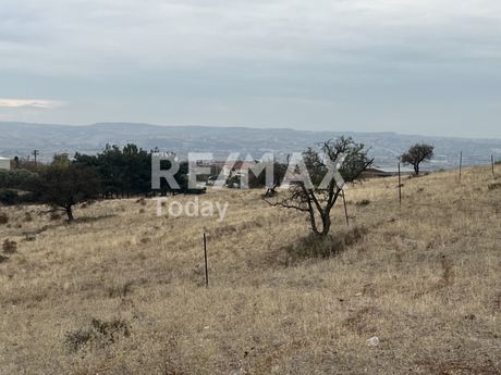 Αγροτεμάχια 8.500 τ.μ. για πώληση