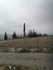 Οικόπεδο 3.000 τ.μ. για πώληση, Ημαθία, Βέροια-thumb-11