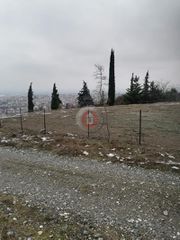 Οικόπεδο 3.000 τ.μ. για πώληση, Ημαθία, Βέροια-thumb-4