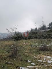 Οικόπεδο 3.000 τ.μ. για πώληση, Ημαθία, Βέροια-thumb-2