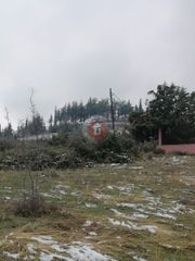 Οικόπεδο 3.000 τ.μ. για πώληση