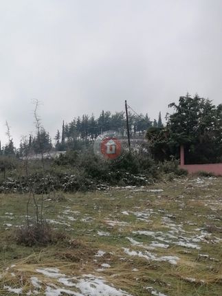 Οικόπεδο 3.000 τ.μ. για πώληση, Ημαθία, Βέροια