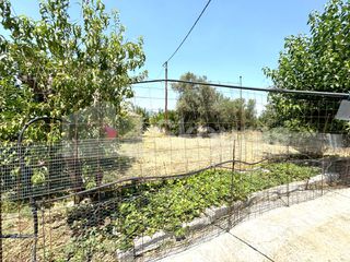 Μονοκατοικία 72 τ.μ. για πώληση, Μεσσηνία, Ιθώμης-thumb-19