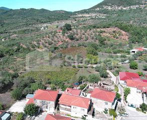 Μονοκατοικία 72 τ.μ. για πώληση, Μεσσηνία, Ιθώμης-thumb-14