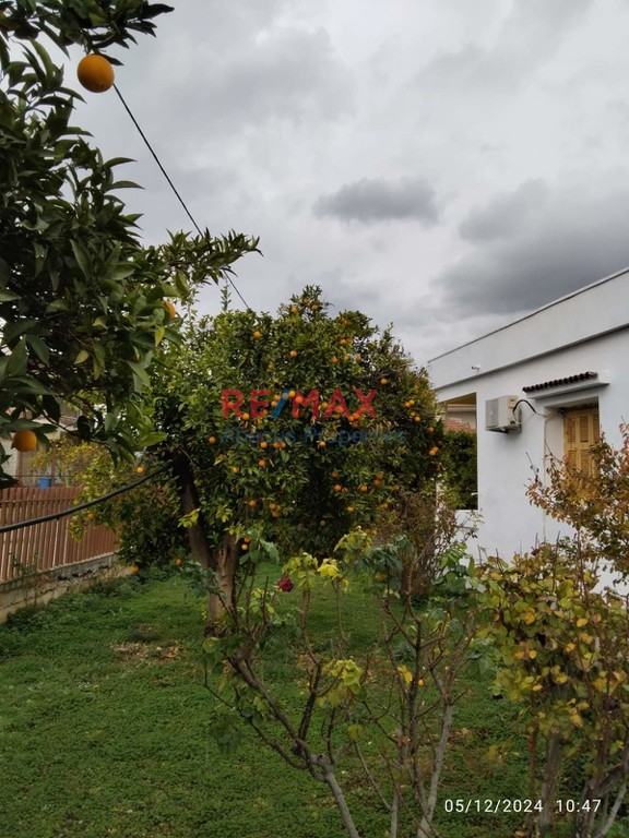 Οικόπεδο 5.996 τ.μ. προς πώληση, Βόχα