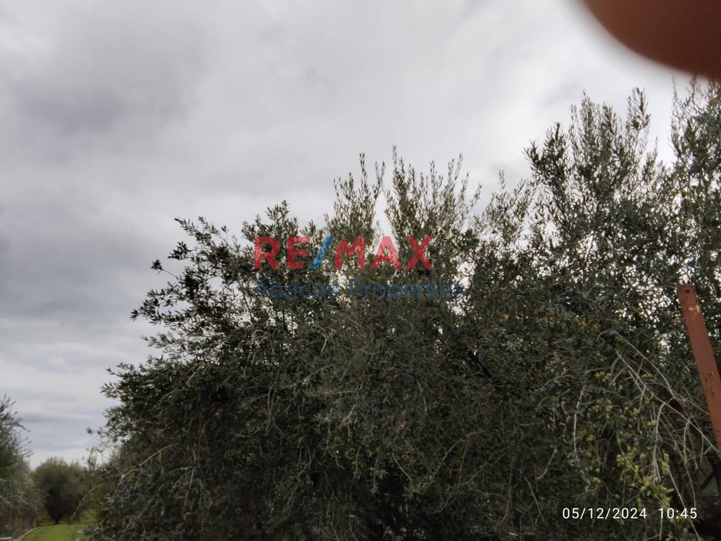 Οικόπεδο 5.996 τ.μ. προς πώληση, Βόχα