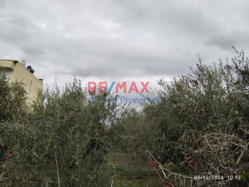 Οικόπεδο 5.996 τ.μ. προς πώληση, Βόχα