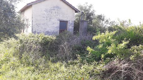 Land plot 4.500 sqm for sale