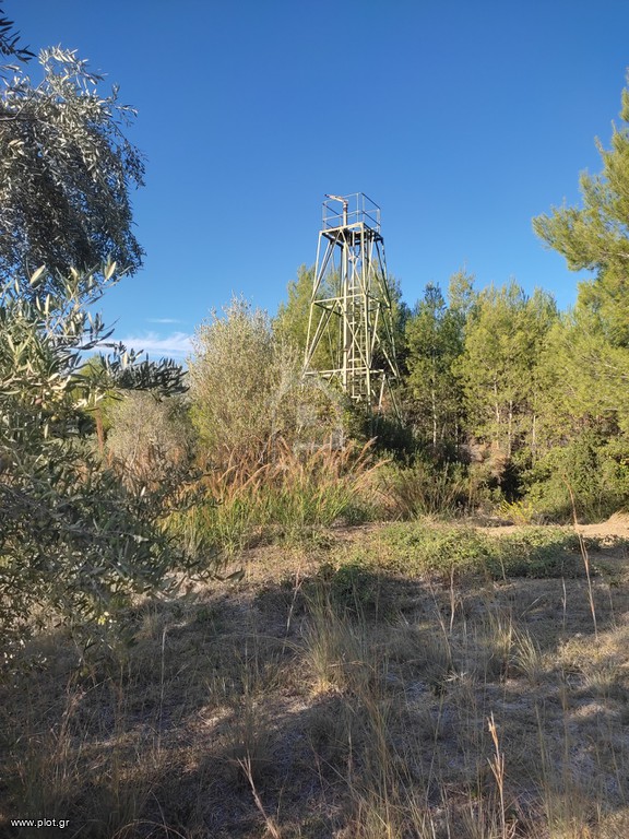 Οικόπεδο 6.000 τ.μ. προς πώληση, Ν. Ηλείας, Αρχαία Ολυμπία