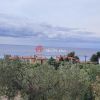 Αγροτεμάχια 5.177τ.μ. για πώληση-Κασσάνδρα » Μόλες καλύβες