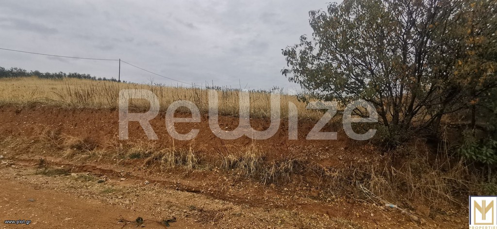 Αγροτεμάχια 2.750 τ.μ. πρός πώληση, Χαλκιδική, Μουδανιά