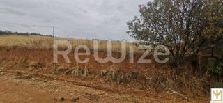 Αγροτεμάχια 2.750 τ.μ. για πώληση