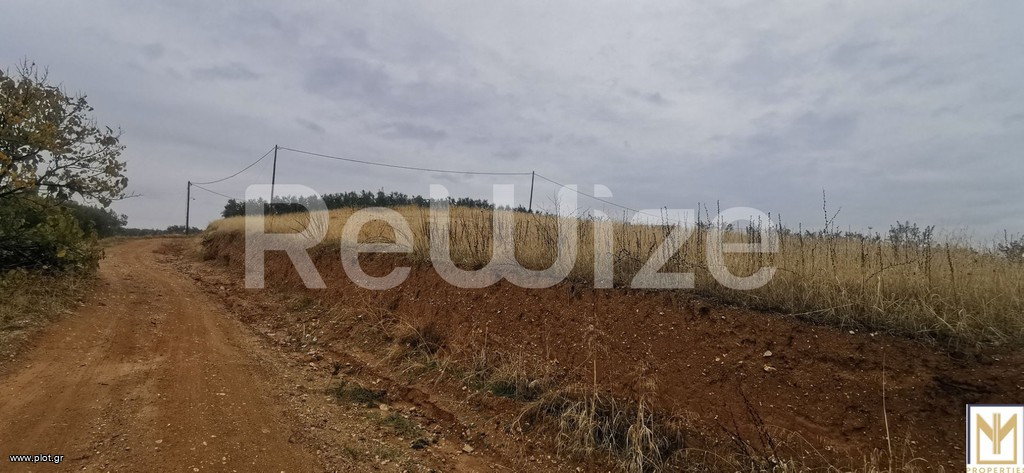 Αγροτεμάχια 2.750 τ.μ. πρός πώληση, Χαλκιδική, Μουδανιά