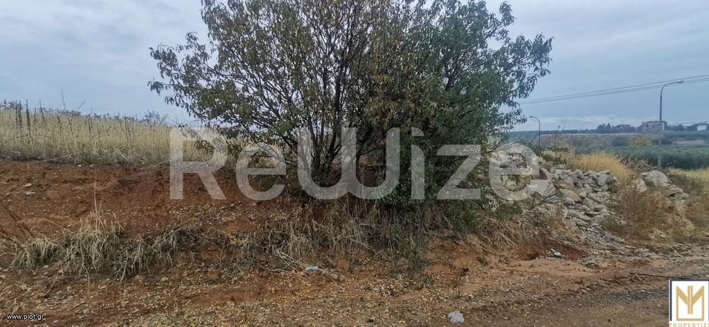 Αγροτεμάχια 2.750 τ.μ. πρός πώληση, Χαλκιδική, Μουδανιά