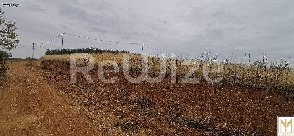 Αγροτεμάχια 2.750 τ.μ. πρός πώληση, Χαλκιδική, Μουδανιά