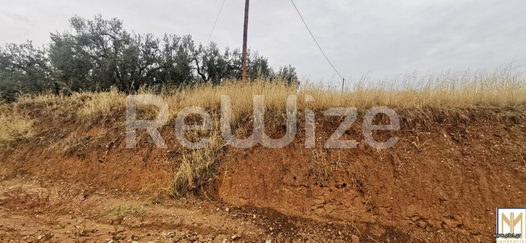 Αγροτεμάχια 2.750 τ.μ. πρός πώληση, Χαλκιδική, Μουδανιά