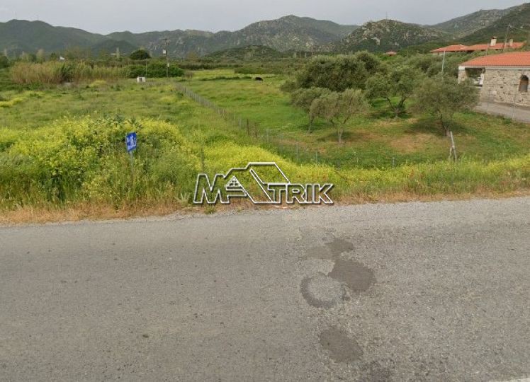 Αγροτεμάχια 2.073 τ.μ. προς πώληση, Συκιά Τορώνης