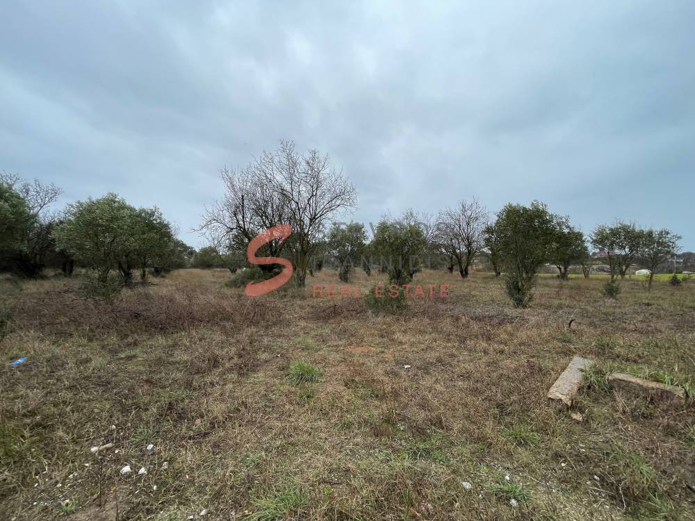 Αγροτεμάχια 6.800 τ.μ. πρός πώληση, Θεσσαλονίκη - Περιφ/Κοί Δήμοι, Θερμαϊκός
