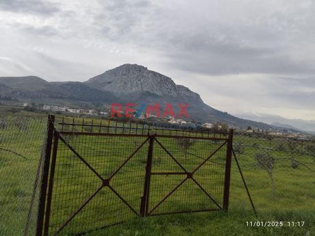 Αγροτεμάχια 4.346 τ.μ. για πώληση