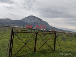 Αγροτεμάχια 4.346 τ.μ. για πώληση