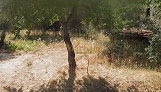 Οικόπεδο 277 τ.μ. για πώληση