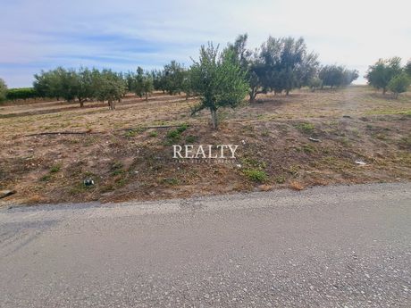 Land plot 10.000sqm for sale-Kallikrateia » Lakkoma