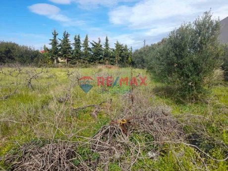Land plot 1.030 sqm for sale