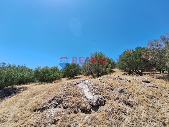 Οικόπεδο 4.800 τ.μ. για πώληση, Ν. Ηρακλείου, Γάζι