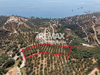 Οικόπεδο 4.800 τ.μ. για πώληση