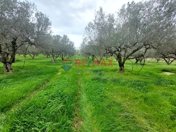 Οικόπεδο 4.813 τ.μ. για πώληση, Ν. Ηρακλείου, Γούβες