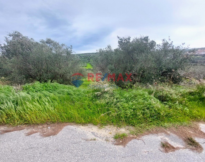 Οικόπεδο 4.813 τ.μ. προς πώληση, Επάνω Βάθεια