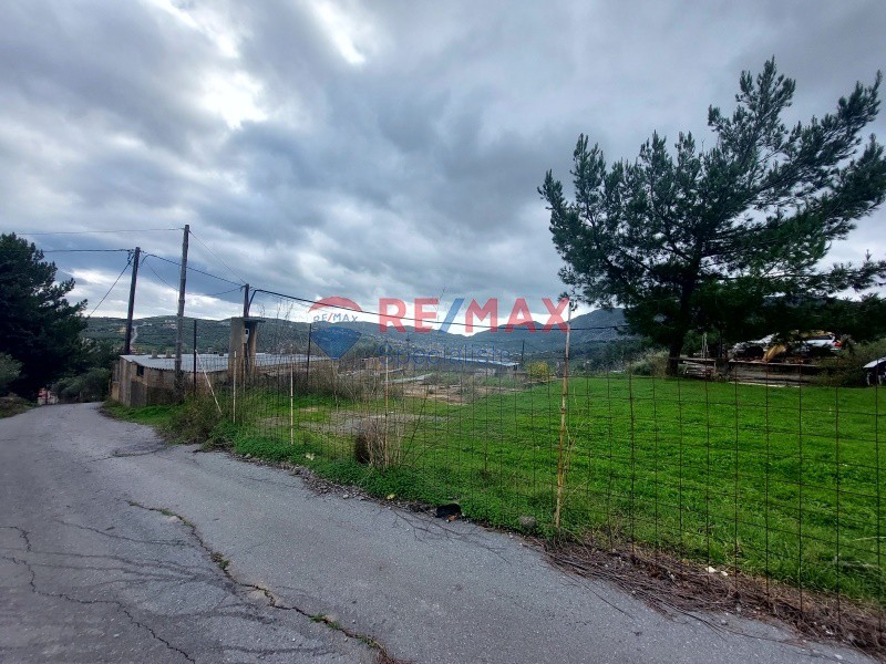 Οικόπεδο 10.000 τ.μ. πρός πώληση, Ν. Ηρακλείου, Αρχάνες