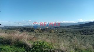Οικόπεδο 10.000 τ.μ. για πώληση