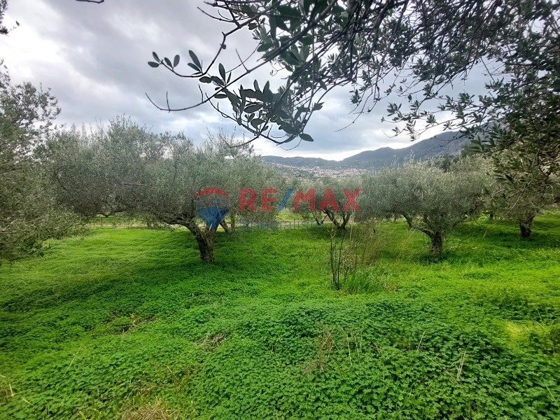 Οικόπεδο 10.000 τ.μ. πρός πώληση, Ν. Ηρακλείου, Αρχάνες