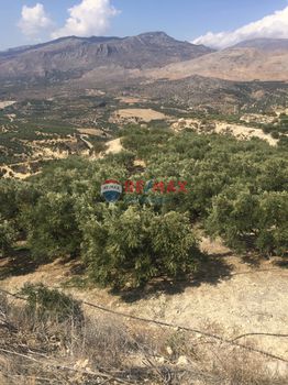 Αγροτεμάχια 9.987τ.μ. για πώληση-Λεύκη