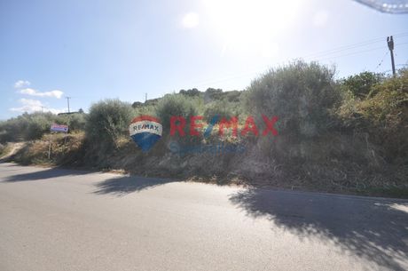 Οικόπεδο 1.881τ.μ. για πώληση-Πλατανιάς