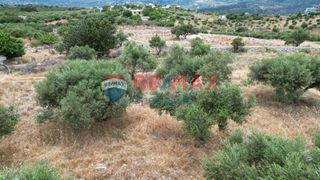 Οικόπεδο 5.604 τ.μ. για πώληση, Ν. Χανίων, Σούδα-thumb-20