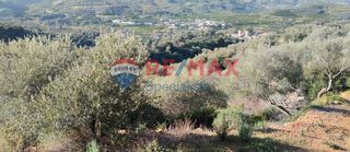 Οικόπεδο 5.718 τ.μ. για πώληση