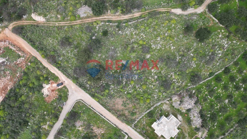 Οικόπεδο 9.681 τ.μ. προς πώληση, Νέο Χωριό Αρμενών