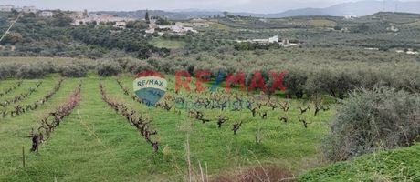 Parcel 2.892sqm for sale-Platanias