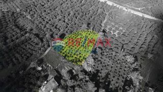 Οικόπεδο 5.729 τ.μ. για πώληση, Ν. Χανίων, Πλατανιάς-thumb-6