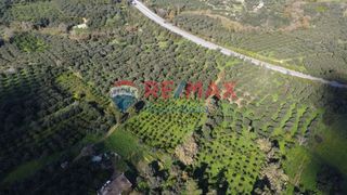 Οικόπεδο 5.729 τ.μ. για πώληση, Ν. Χανίων, Πλατανιάς-thumb-9