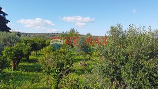 Οικόπεδο 5.729 τ.μ. για πώληση, Ν. Χανίων, Πλατανιάς-thumb-8