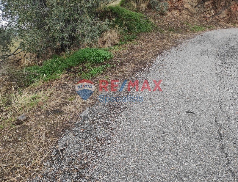 Οικόπεδο 4.800 τ.μ. προς πώληση, Σταλός