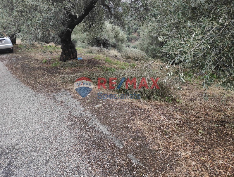 Οικόπεδο 4.800 τ.μ. προς πώληση, Σταλός