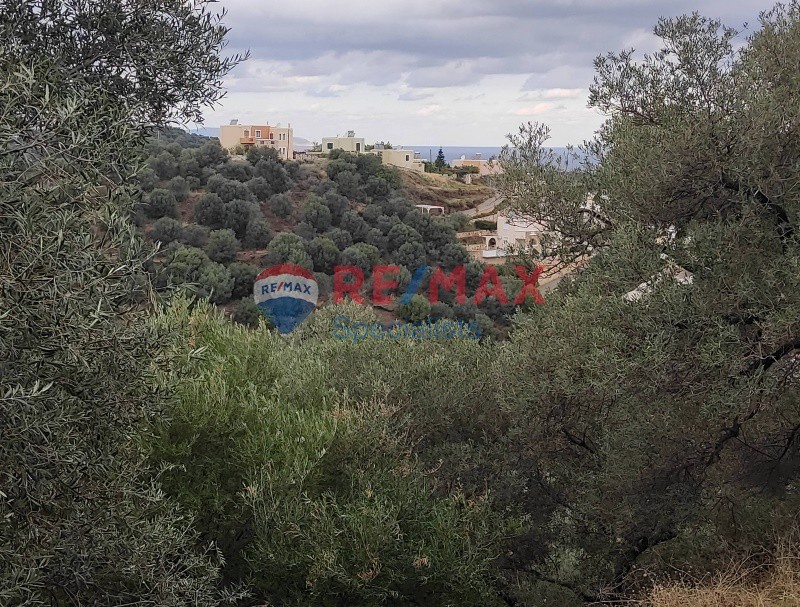 Οικόπεδο 4.800 τ.μ. προς πώληση, Σταλός