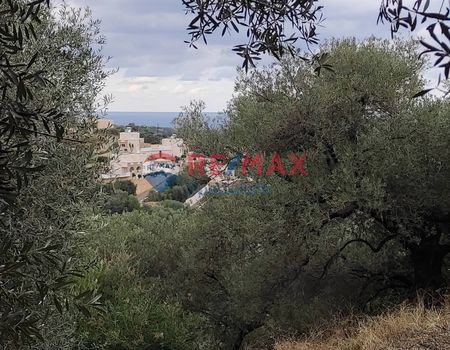 Land plot 4.800sqm for sale-Nea Kidonia