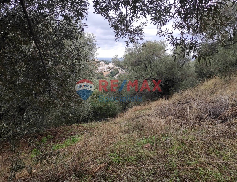 Οικόπεδο 4.800 τ.μ. προς πώληση, Σταλός