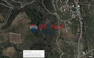 Αγροτεμάχια 8.767 τ.μ. για πώληση